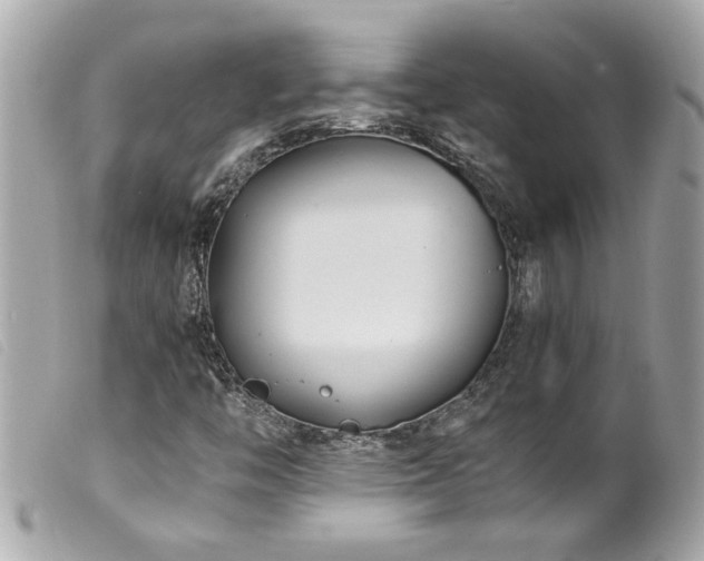 X0000100221446200805301337