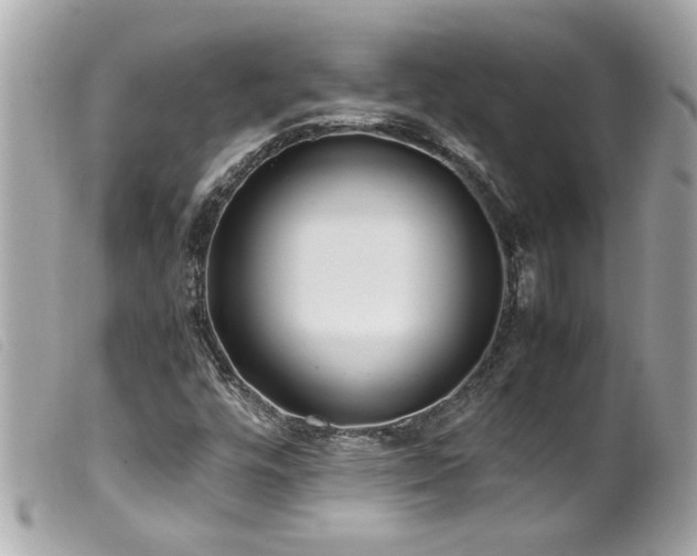 X0000100221448200805301337