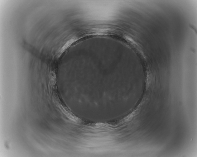 X0000100221449200805301337