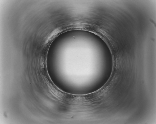X0000100221451200805301337