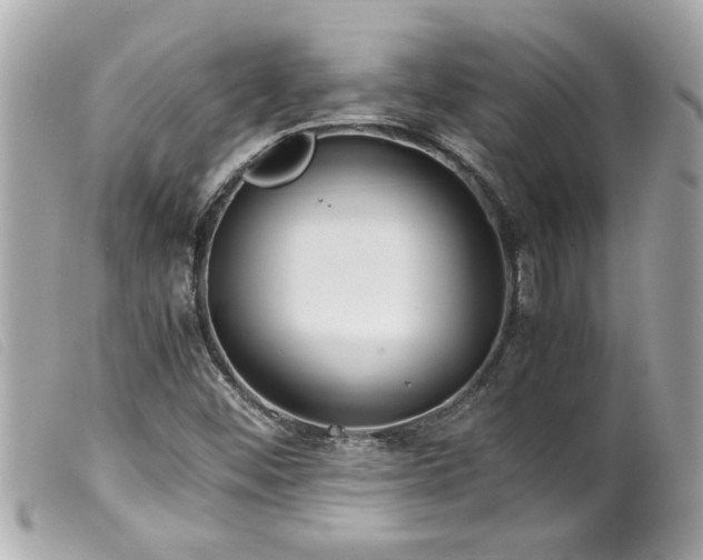 X0000100221452200805301337