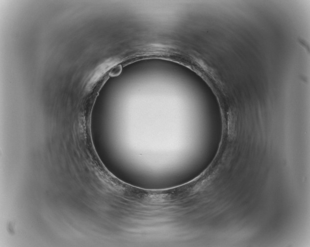 X0000100221453200805301337
