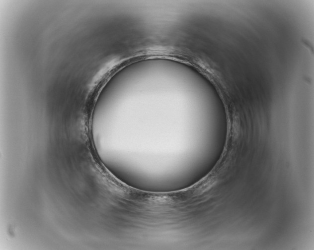X0000100221454200805301337