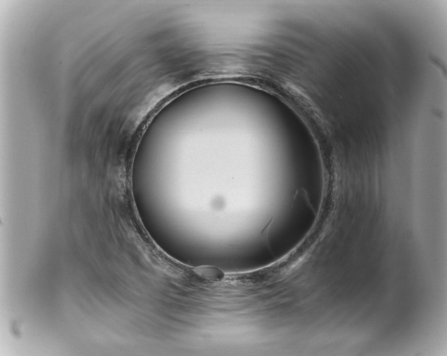 X0000100221457200805301337