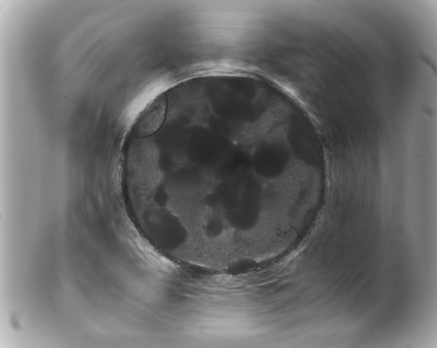 X0000100221463200805301337