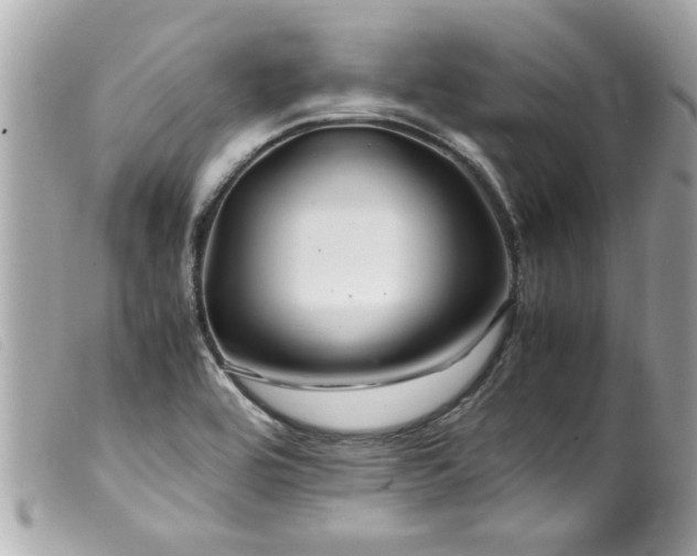 X0000100221464200805301336