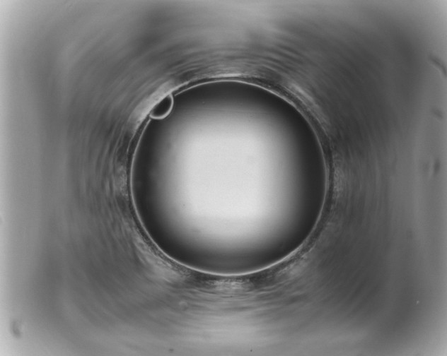 X0000100221465200805301336