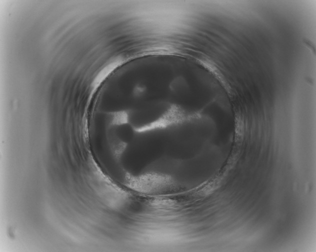 X0000100221466200805301336