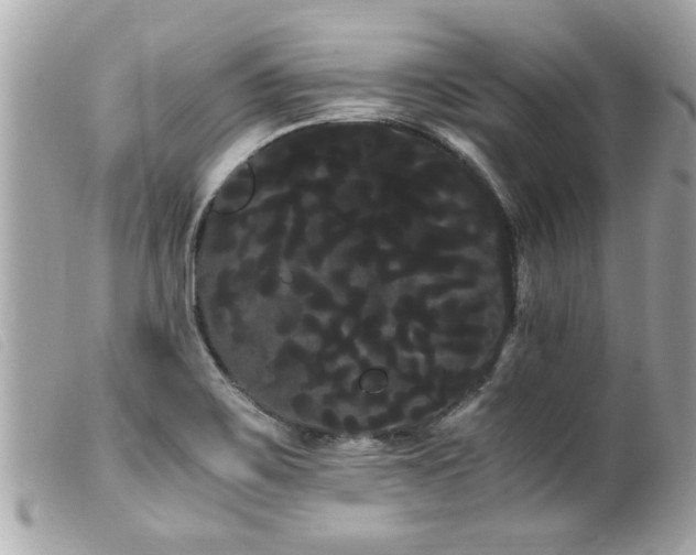 X0000100221467200805301336