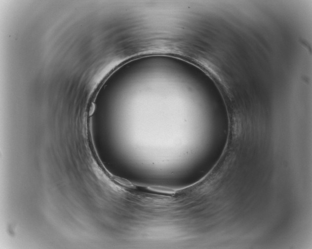 X0000100221468200805301336