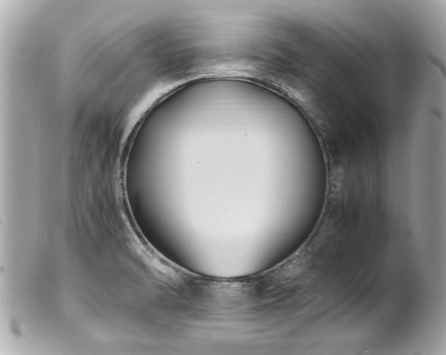 X0000100221470200805301336