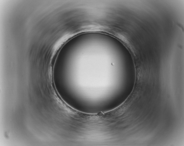 X0000100221472200805301336