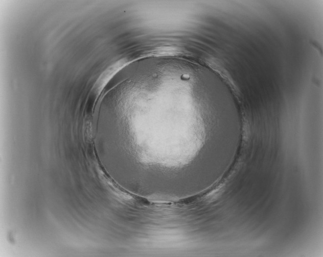X0000100221473200805301336