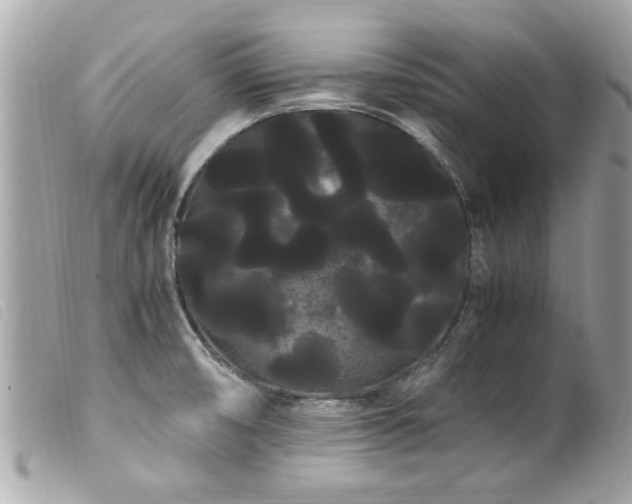 X0000100221474200805301336