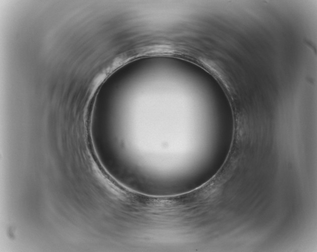 X0000100221475200805301336