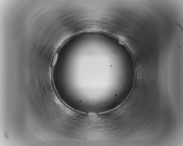 X0000100221476200805301336