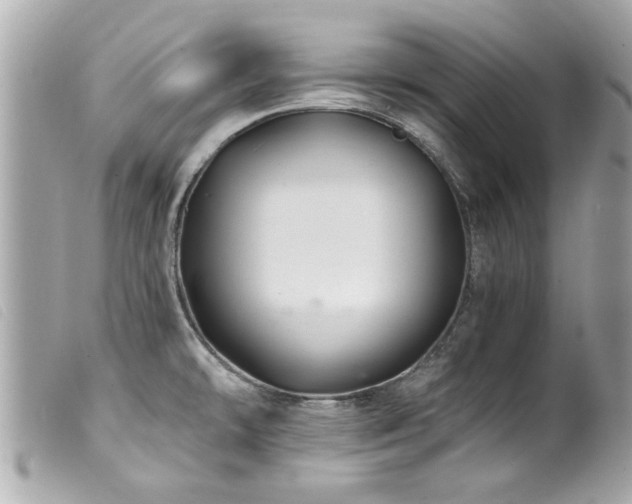 X0000100221478200805301336