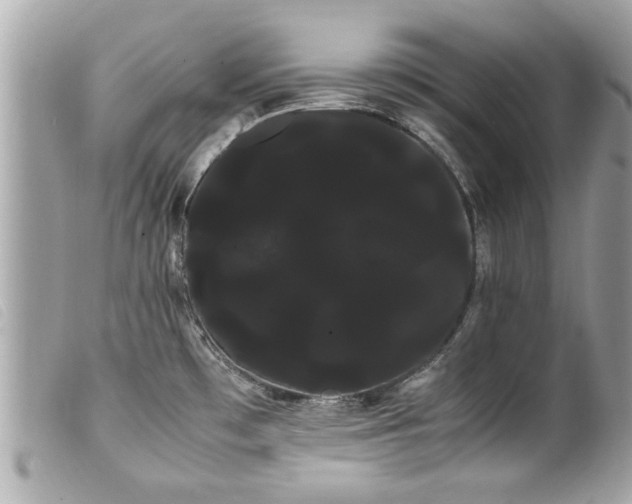 X0000100221481200805301336