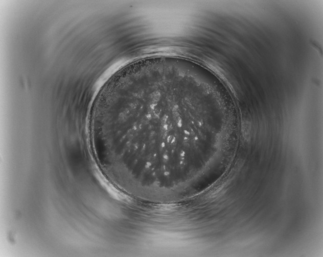 X0000100221482200805301336