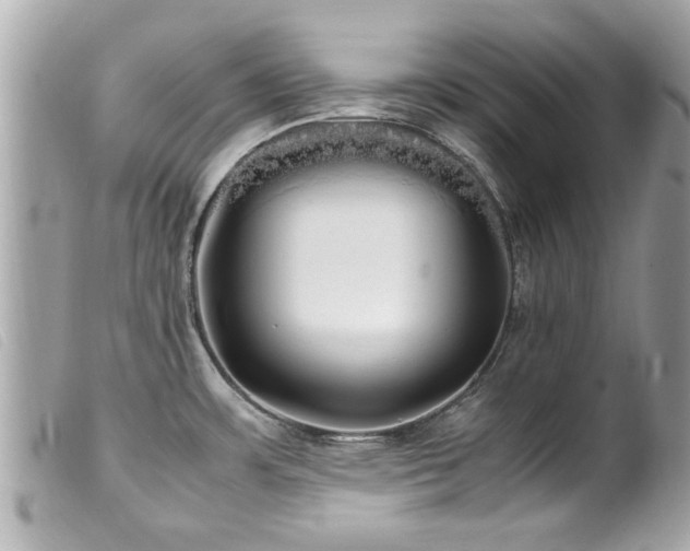 X0000100221483200805301336
