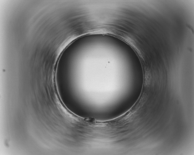 X0000100221484200805301336