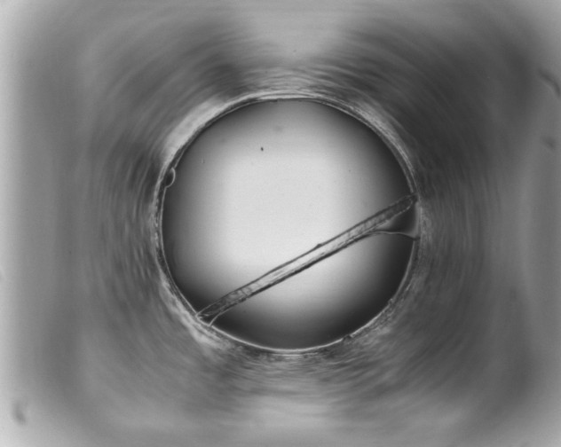 X0000100221485200805301336