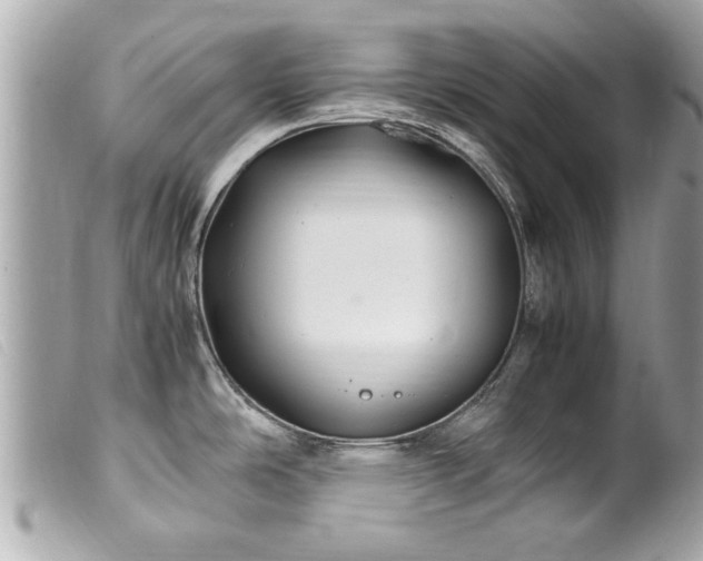 X0000100221486200805301336
