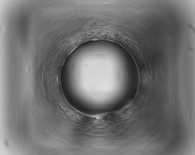 X0000100221489200805301335