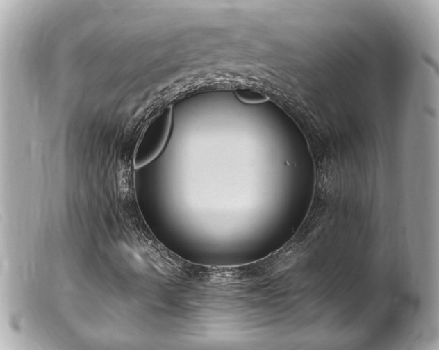 X0000100221490200805301335