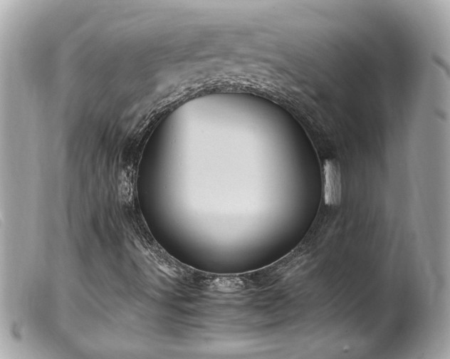 X0000100221491200805301335