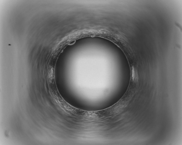 X0000100221492200805301335