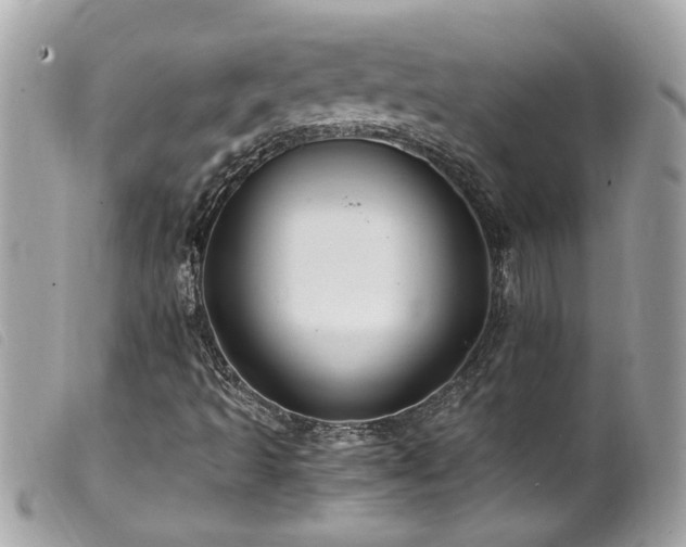 X0000100221493200805301335