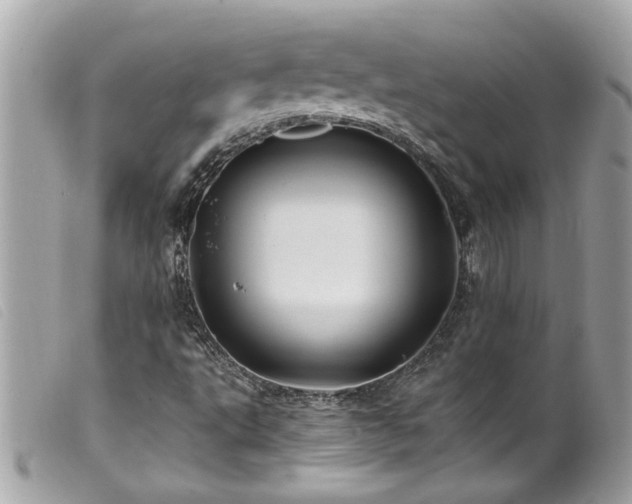 X0000100221495200805301335