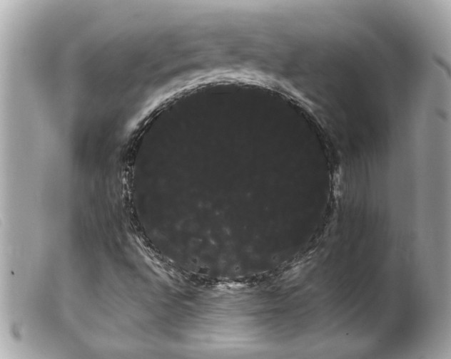 X0000100221496200805301335
