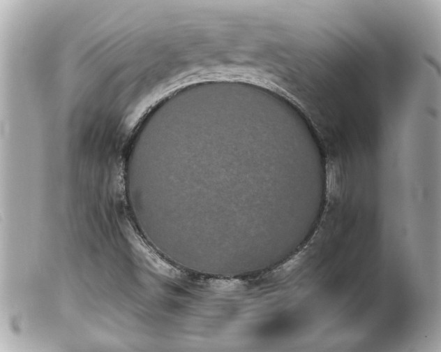 X0000100221498200805301336