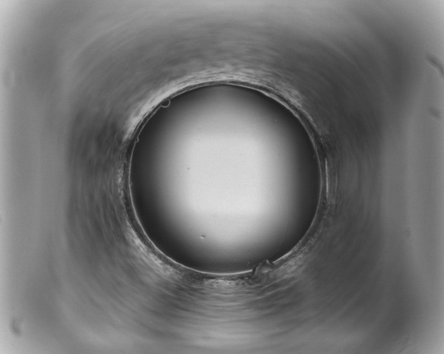 X0000100221500200805301336