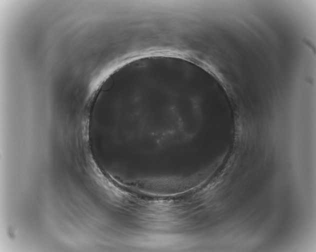 X0000100221504200805301336