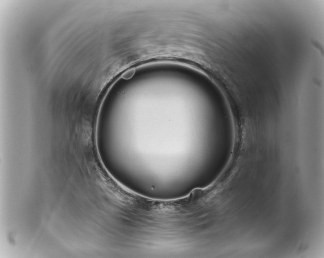 X0000100221505200805301336