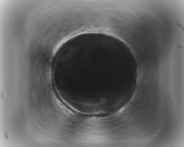 X0000100221506200805301336