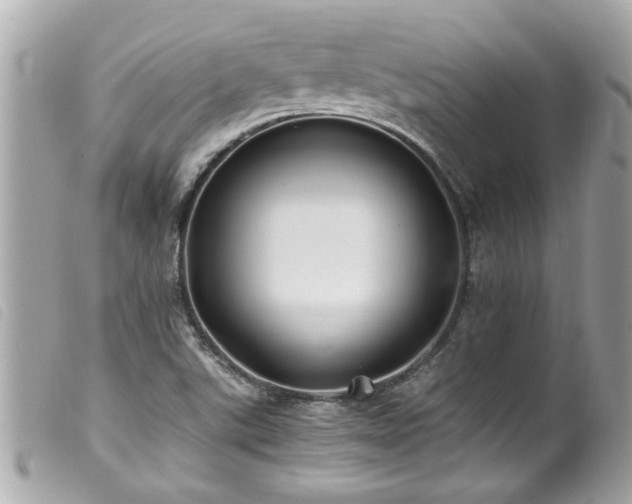 X0000100221507200805301336