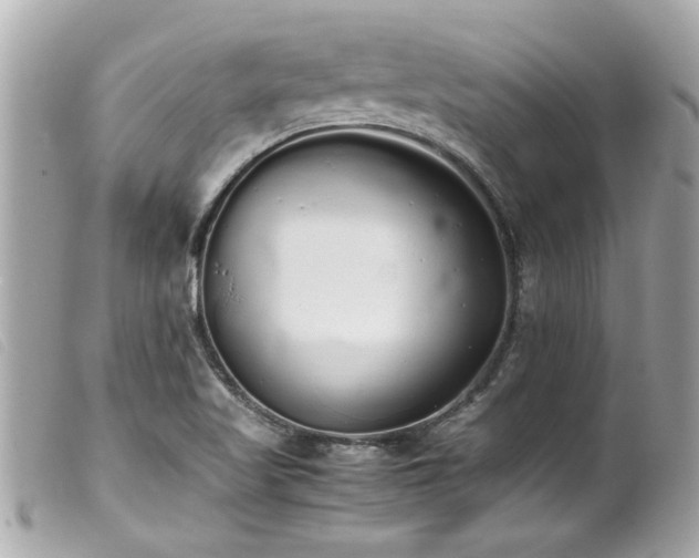 X0000100221509200805301336