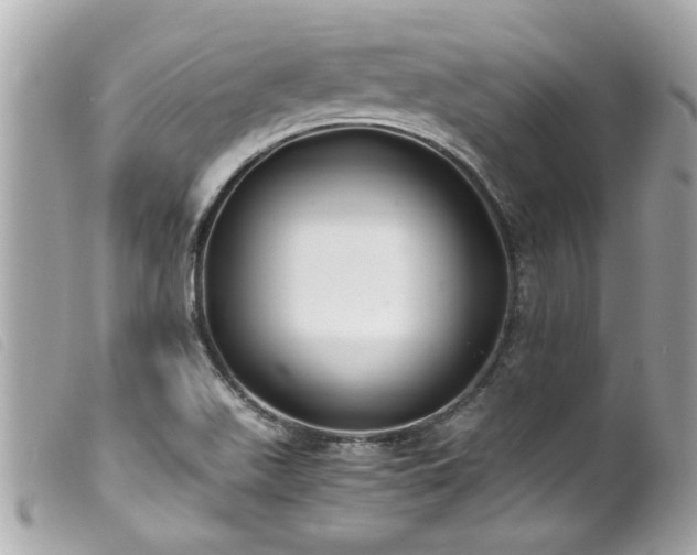 X0000100221511200805301336