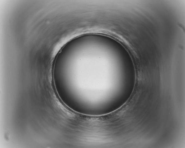 X0000100221512200805301336