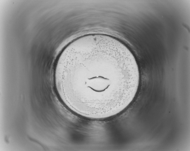 X0000100221514200805301336