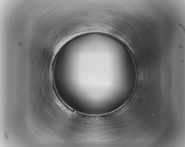 X0000100221516200805301336