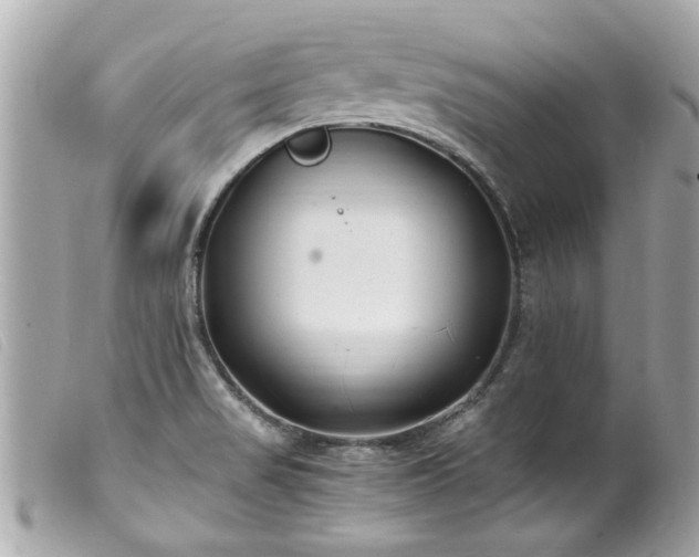 X0000100221517200805301336