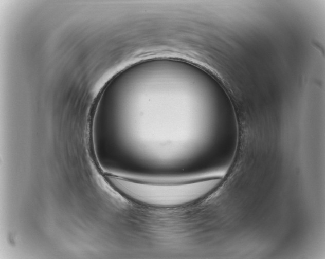 X0000100221518200805301336