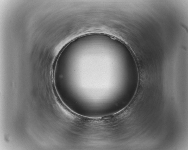X0000100221519200805301336
