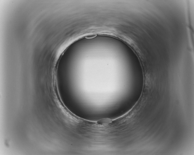 X0000100221520200805301336