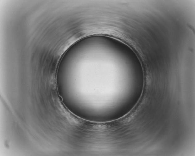 X0000100221521200805301336
